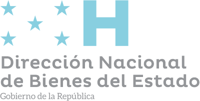 DIRECCIÓN NACIONAL DE BIENES DEL ESTADO