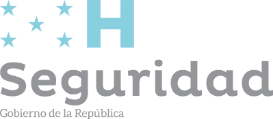 SECRETARÍA DE SEGURIDAD